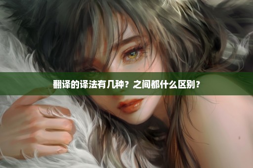 翻译的译法有几种？之间都什么区别？