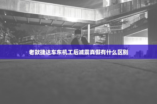 老款捷达车东机工后减震真假有什么区别