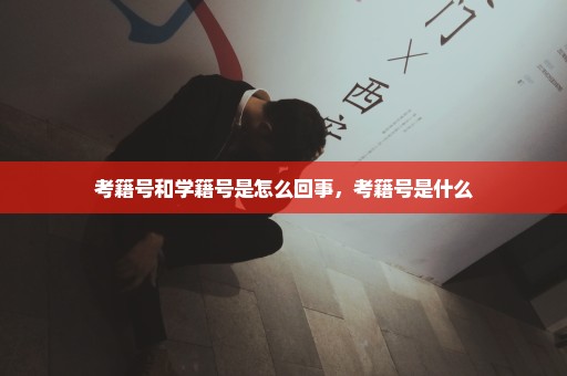 考籍号和学籍号是怎么回事，考籍号是什么