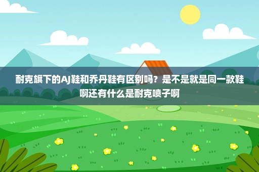 耐克旗下的AJ鞋和乔丹鞋有区别吗？是不是就是同一款鞋啊还有什么是耐克喷子啊