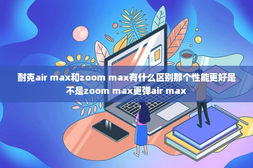 耐克air max和zoom max有什么区别那个性能更好是不是zoom max更弹air max