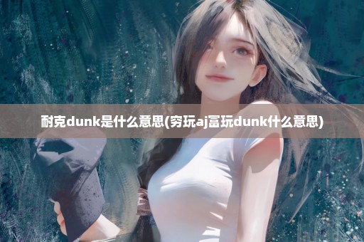 耐克dunk是什么意思(穷玩aj富玩dunk什么意思)