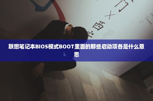 联想笔记本BIOS模式BOOT里面的那些启动项各是什么意思