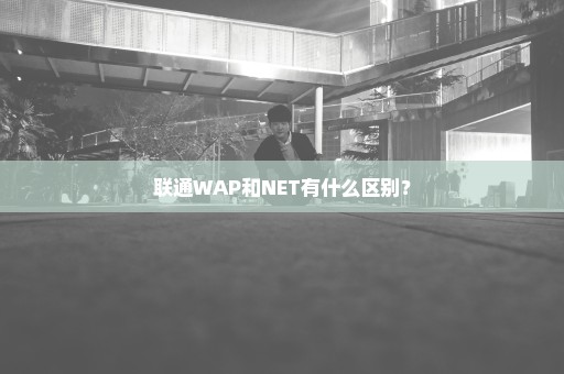 联通WAP和NET有什么区别？