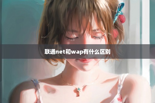 联通net和wap有什么区别