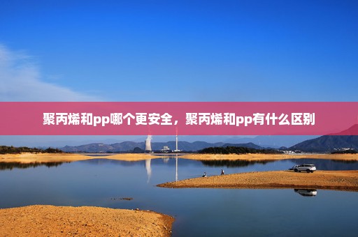 聚丙烯和pp哪个更安全，聚丙烯和pp有什么区别