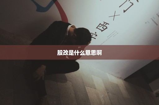 股改是什么意思啊