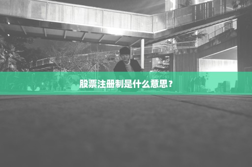 股票注册制是什么意思？