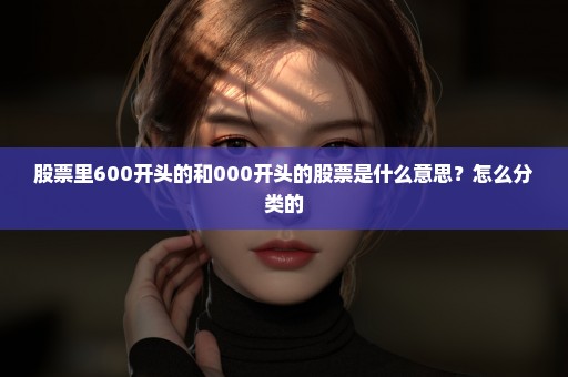 股票里600开头的和000开头的股票是什么意思？怎么分类的