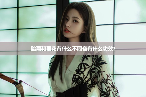 胎菊和菊花有什么不同各有什么功效?