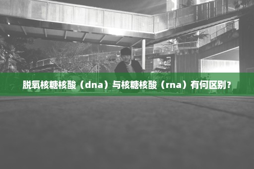 脱氧核糖核酸（dna）与核糖核酸（rna）有何区别？