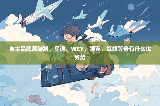 自主品牌高端路，星途，WEY，领克，红旗等各有什么优劣势