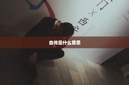 自传是什么意思