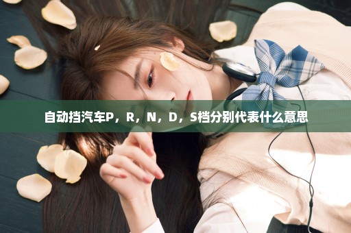 自动挡汽车P，R，N，D，S档分别代表什么意思