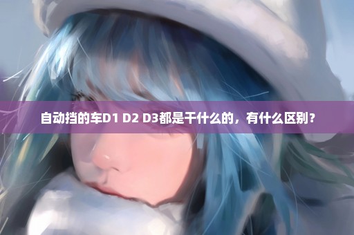 自动挡的车D1 D2 D3都是干什么的，有什么区别？