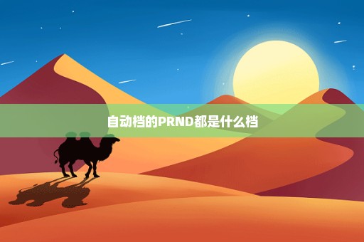 自动档的PRND都是什么档