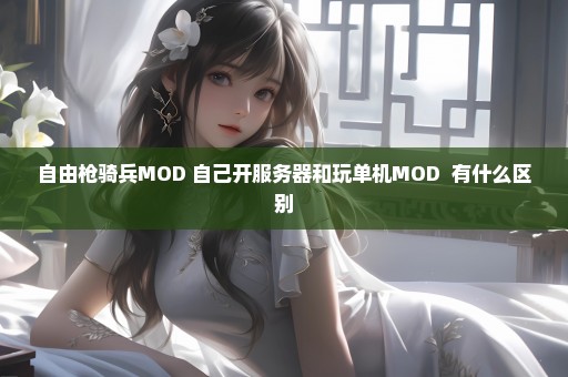 自由枪骑兵MOD 自己开服务器和玩单机MOD  有什么区别