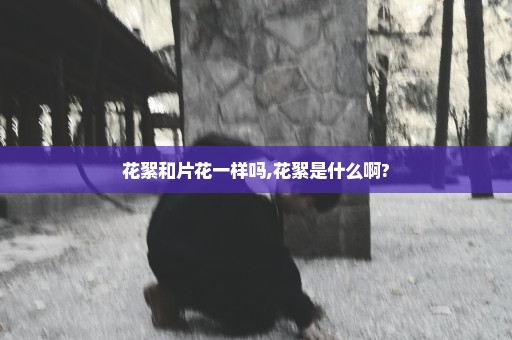 花絮和片花一样吗,花絮是什么啊?