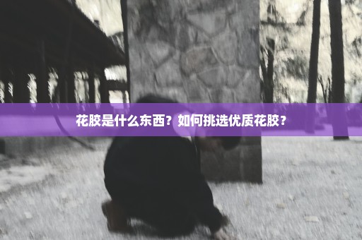 花胶是什么东西？如何挑选优质花胶？