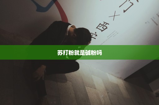 苏打粉就是碱粉吗