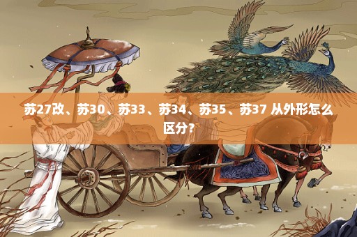 苏27改、苏30、苏33、苏34、苏35、苏37 从外形怎么区分？