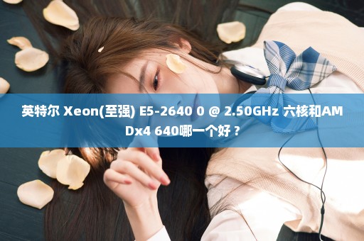 英特尔 Xeon(至强) E5-2640 0 @ 2.50GHz 六核和AMDx4 640哪一个好 ?