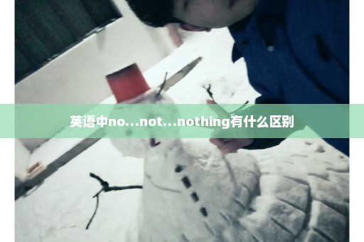 英语中no…not…nothing有什么区别