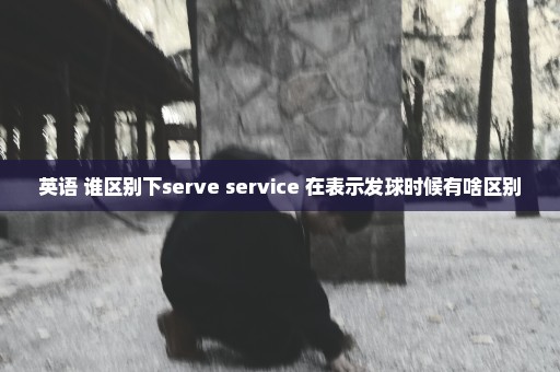 英语 谁区别下serve service 在表示发球时候有啥区别