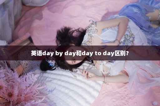 英语day by day和day to day区别？