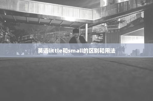 英语little和small的区别和用法