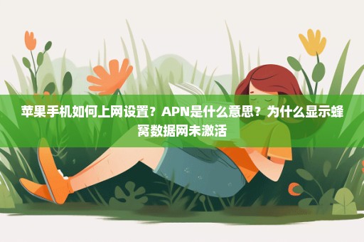 苹果手机如何上网设置？APN是什么意思？为什么显示蜂窝数据网未激活