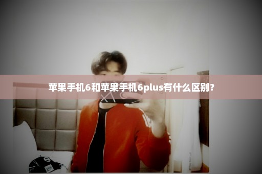 苹果手机6和苹果手机6plus有什么区别？