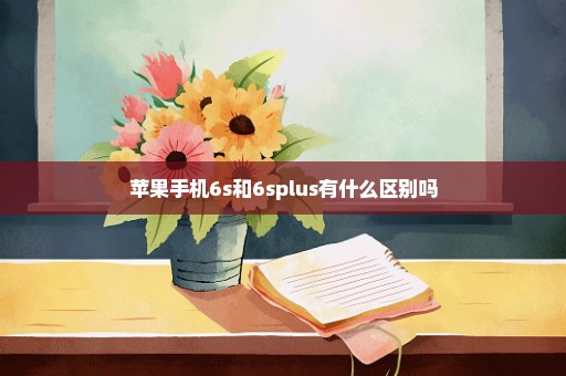 苹果手机6s和6splus有什么区别吗