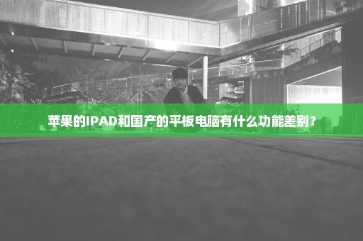 苹果的IPAD和国产的平板电脑有什么功能差别？