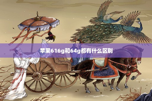 苹果616g和64g都有什么区别