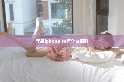 苹果iphone se有什么区别