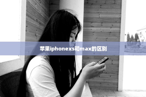 苹果iphonexs和max的区别