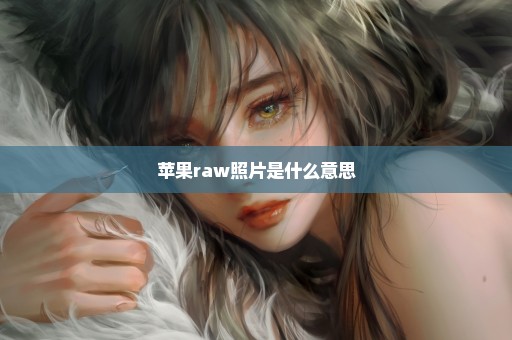 苹果raw照片是什么意思