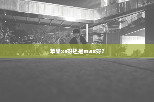 苹果xs好还是max好？