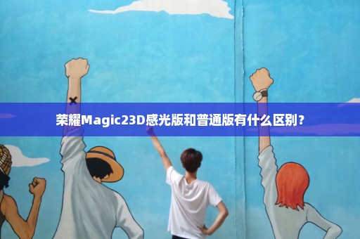 荣耀Magic23D感光版和普通版有什么区别？