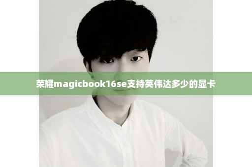 荣耀magicbook16se支持英伟达多少的显卡