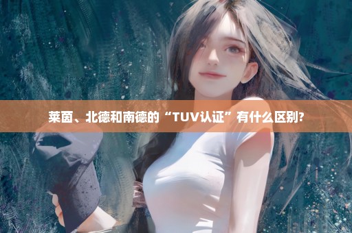 莱茵、北德和南德的“TUV认证”有什么区别?