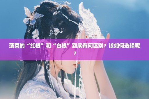 菠菜的“红根”和“白根”到底有何区别？该如何选择呢？