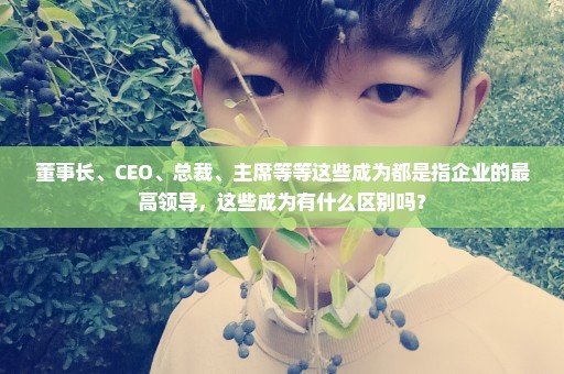 董事长、CEO、总裁、主席等等这些成为都是指企业的最高领导，这些成为有什么区别吗？