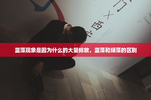 蓝藻现象是因为什么的大量排放，蓝藻和绿藻的区别