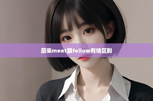 蔚来meet跟fellow有啥区别