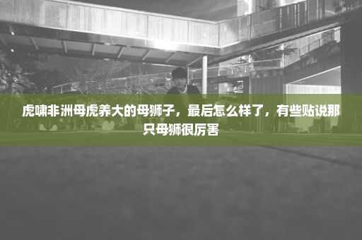 虎啸非洲母虎养大的母狮子，最后怎么样了，有些贴说那只母狮很厉害