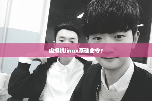 虚拟机linux基础命令？