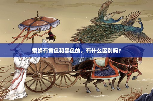 蚕蛹有黄色和黑色的，有什么区别吗？