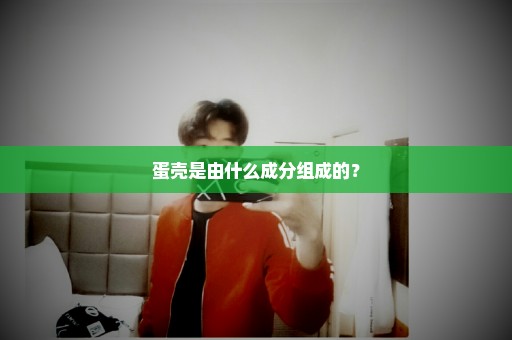 蛋壳是由什么成分组成的？